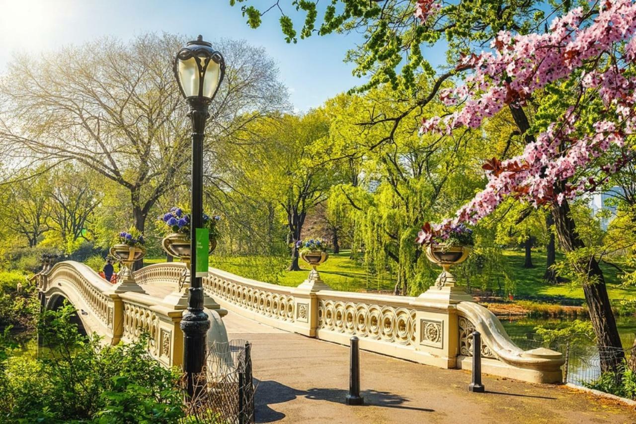 Appartamento Frederick's Place - Convenient Walk To Central Park And Columbia University *